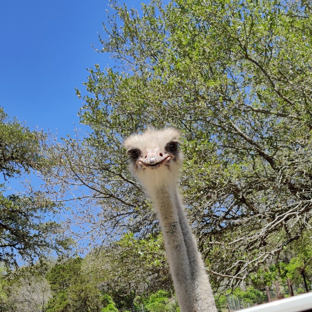 Meet your Posher, Gerardo
